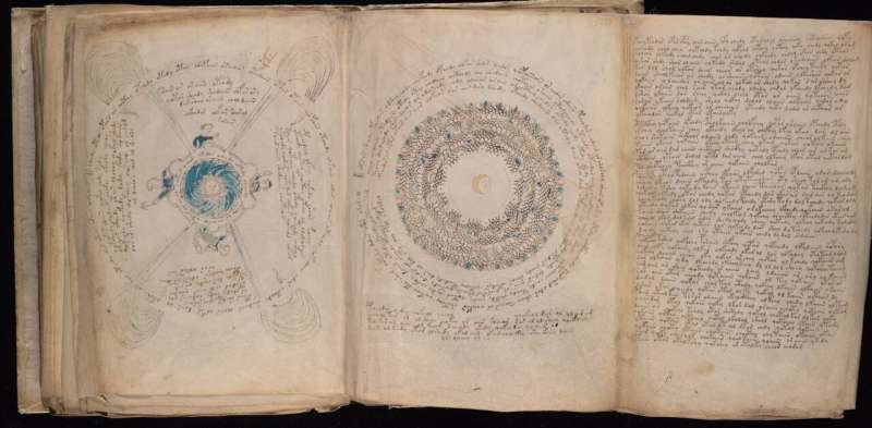 A photograph of several pages of the Voynich Manuscript